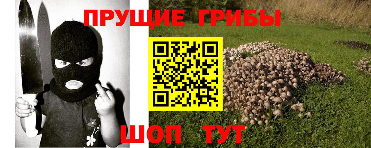 Галлюциногенные грибы ЛСД Петропавловск-Камчатский