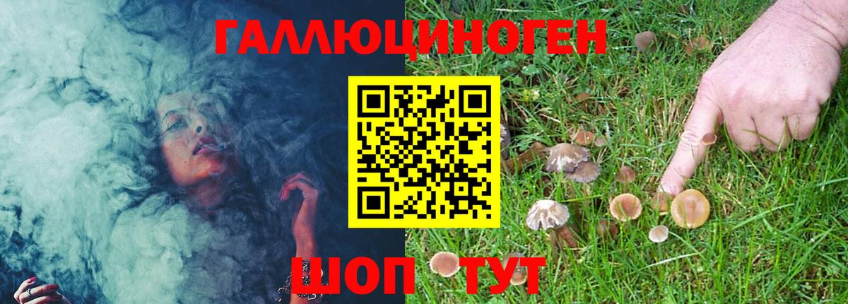 Бошки Шишки  Вход с VPN  Петропавловск-Камчатский  Меф  МЕФ   Cocaine 